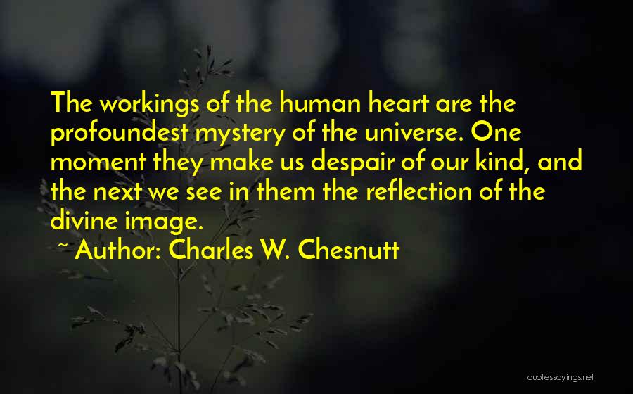 Moment Of Reflection Quotes By Charles W. Chesnutt