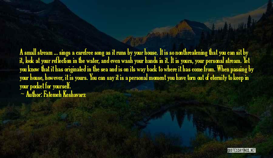 Moment Of Reflection Quotes By Fatemeh Keshavarz