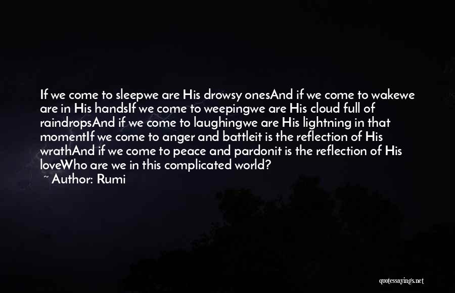 Moment Of Reflection Quotes By Rumi