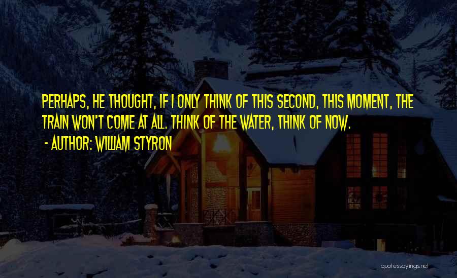 Moment Of Thought Quotes By William Styron