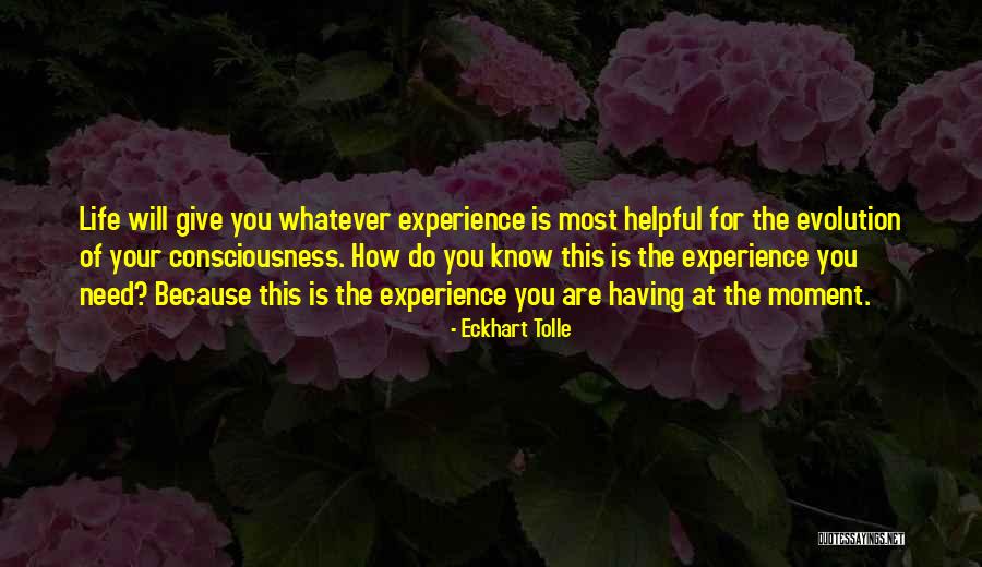 Moment Of Your Life Quotes By Eckhart Tolle