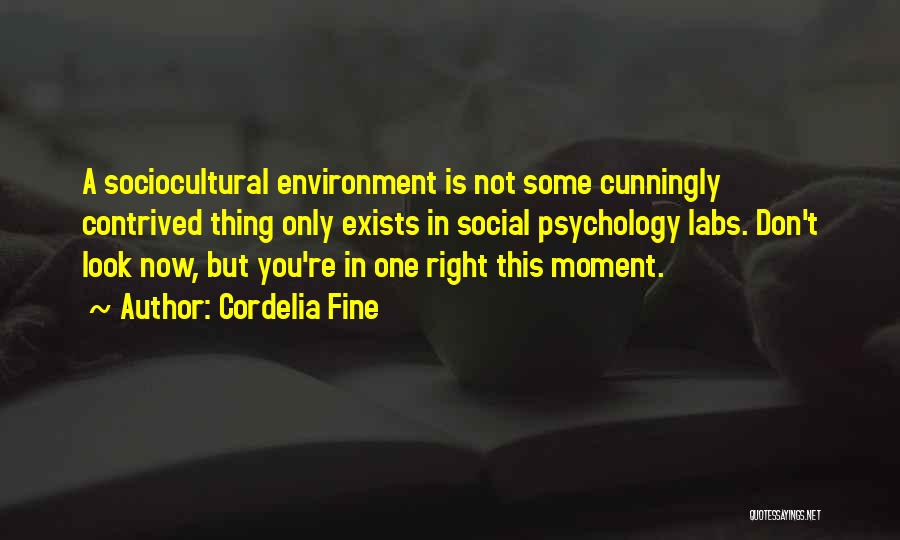 Moment One Quotes By Cordelia Fine