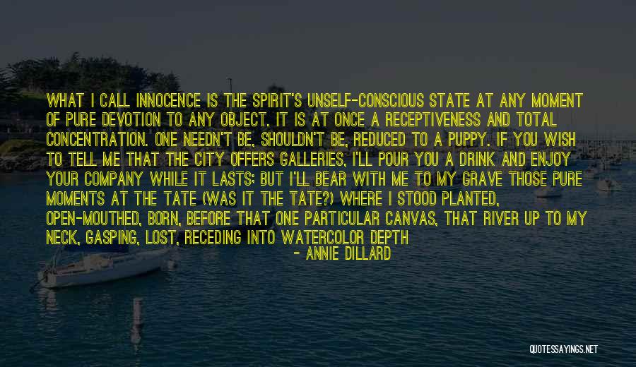 Moment The Drink Quotes By Annie Dillard Moment The Drink Quotes By Annie Dillard