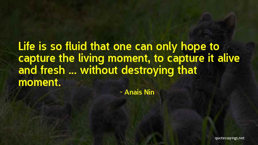Moment To Capture Quotes By Anais Nin Moment To Capture Quotes By Anais Nin