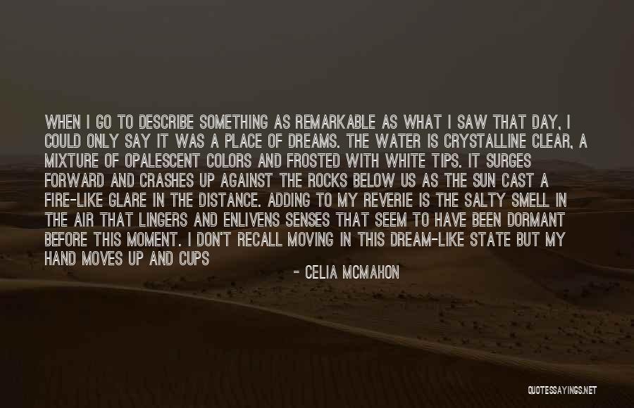 Moment To Capture Quotes By Celia Mcmahon Moment To Capture Quotes By Celia Mcmahon