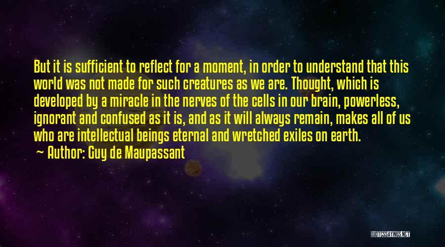 Moment To Reflect Quotes By Guy De Maupassant