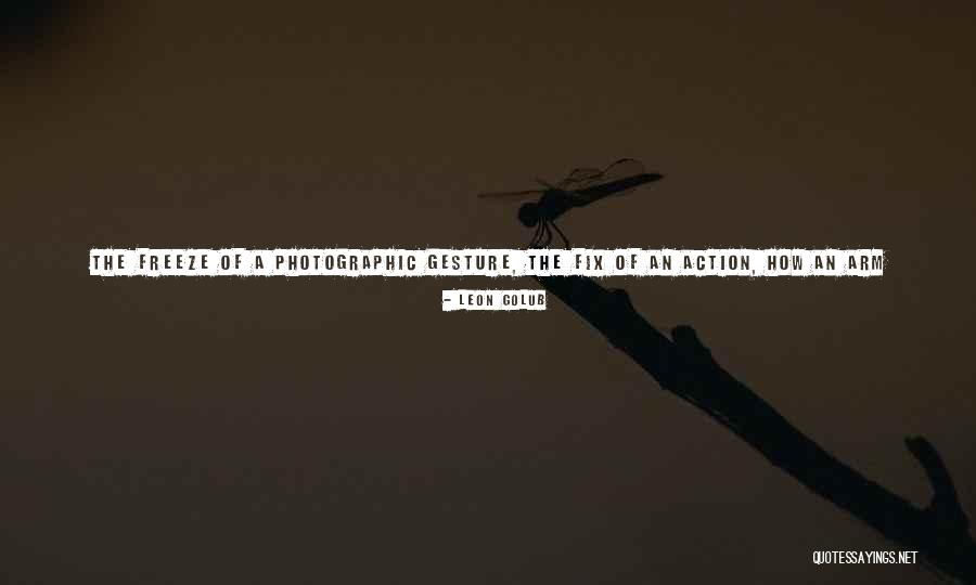 Momentarily Quotes By Leon Golub Momentarily Quotes By Leon Golub