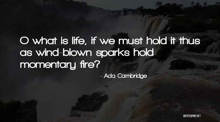 Momentary Life Quotes By Ada Cambridge Momentary Life Quotes By Ada Cambridge