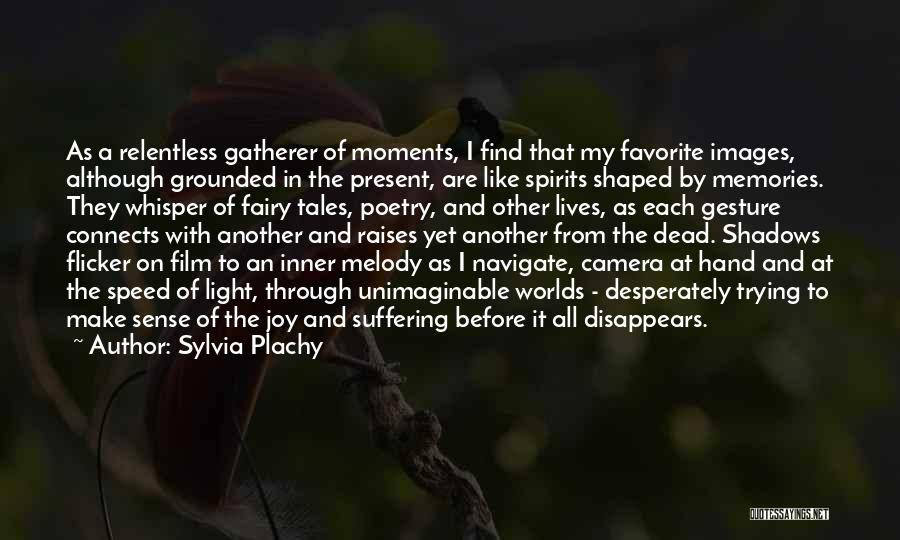 Moments And Memories Quotes By Sylvia Plachy