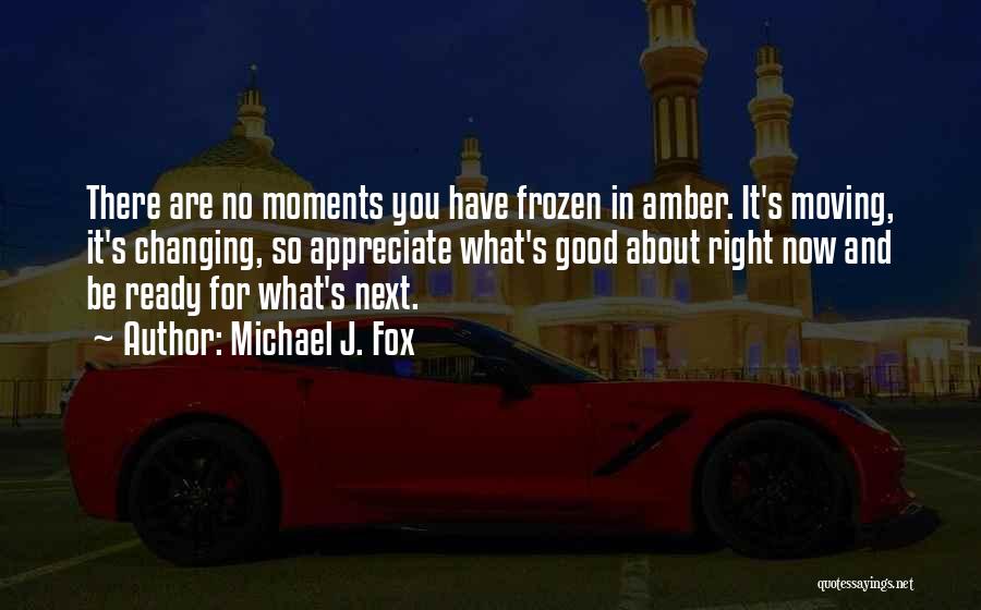 Moments Frozen In Time Quotes By Michael J. Fox