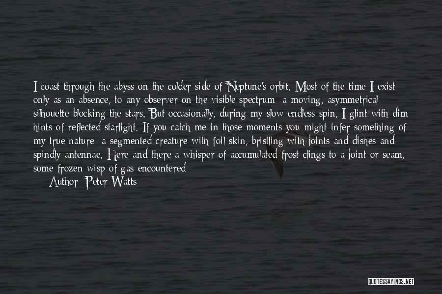 Moments Frozen In Time Quotes By Peter Watts