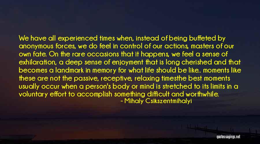 Moments In Our Life Quotes By Mihaly Csikszentmihalyi