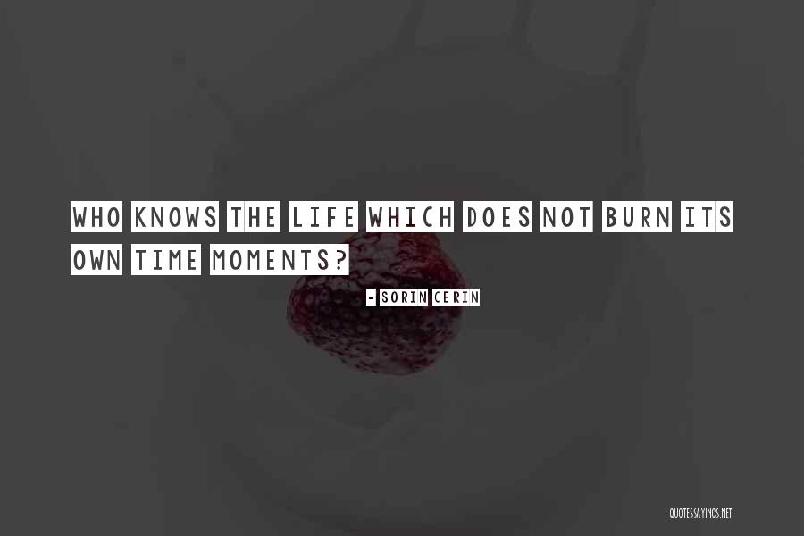Moments In Which You Love Life Quotes By Sorin Cerin Moments In Which You Love Life Quotes By Sorin Cerin