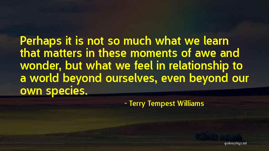 Moments Of Awe Quotes By Terry Tempest Williams Moments Of Awe Quotes By Terry Tempest Williams