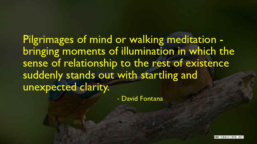 Moments Of Clarity Quotes By David Fontana