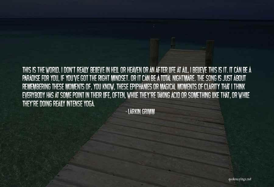 Moments Of Clarity Quotes By Larkin Grimm