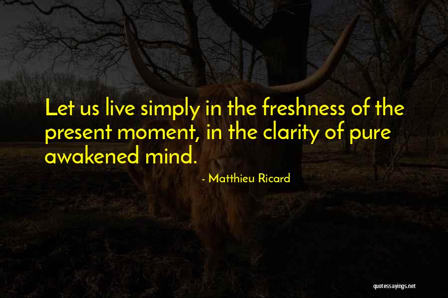 Moments Of Clarity Quotes By Matthieu Ricard