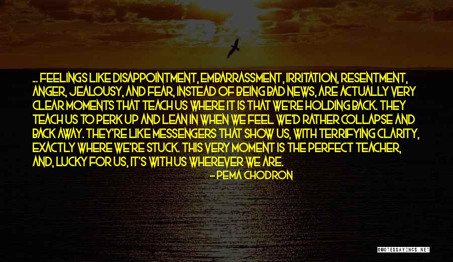 Moments Of Clarity Quotes By Pema Chodron