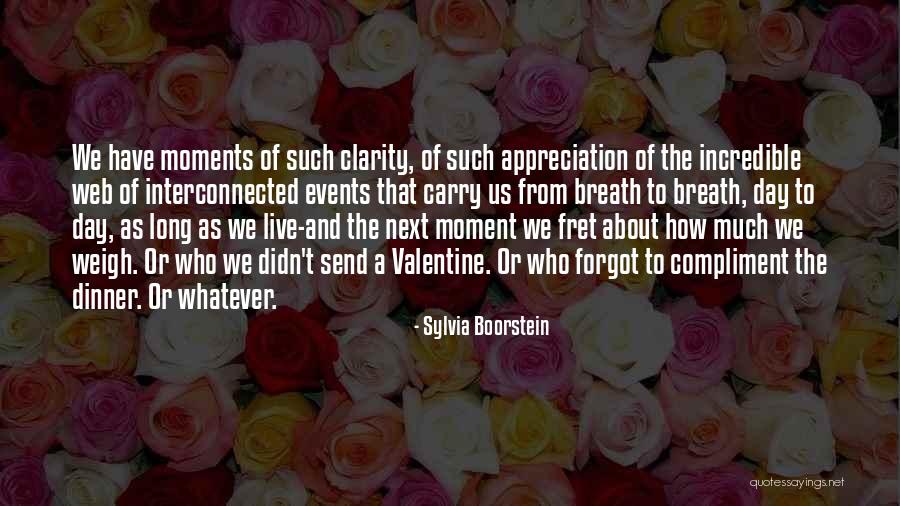 Moments Of Clarity Quotes By Sylvia Boorstein