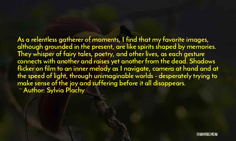 Moments Of Joy Quotes By Sylvia Plachy
