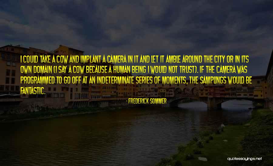 Moments Series Quotes By Frederick Sommer Moments Series Quotes By Frederick Sommer