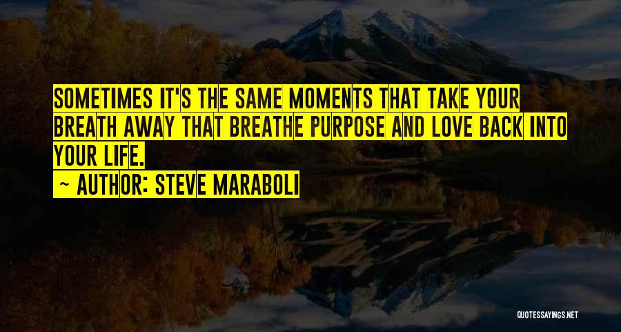 Moments That Take Your Breath Away Quotes By Steve Maraboli