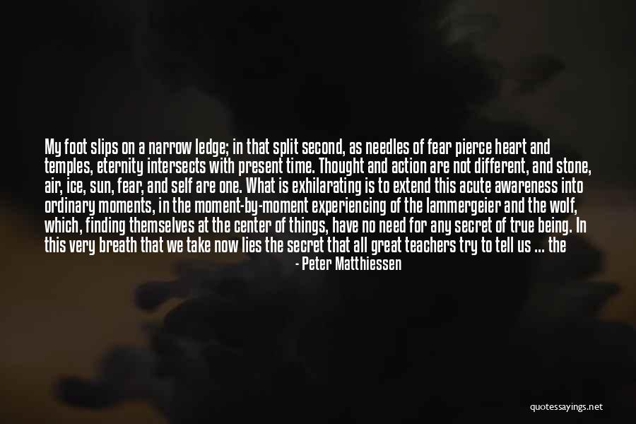 Moments That Take Your Breath Quotes By Peter Matthiessen