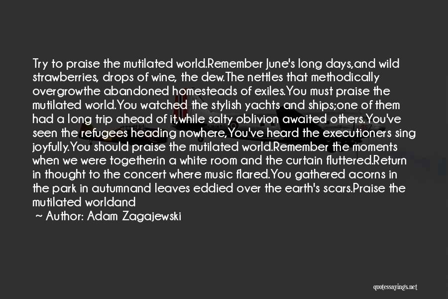 Moments To Remember Quotes By Adam Zagajewski