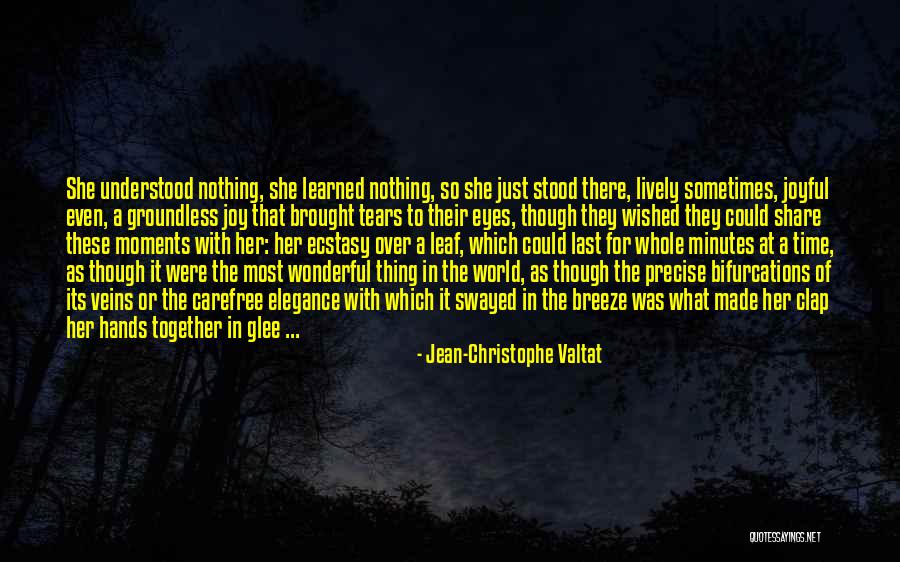 Moments With Her Quotes By Jean-Christophe Valtat