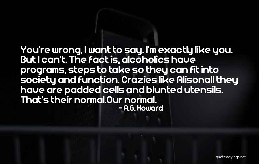 Momism Book Quotes By A.G. Howard
