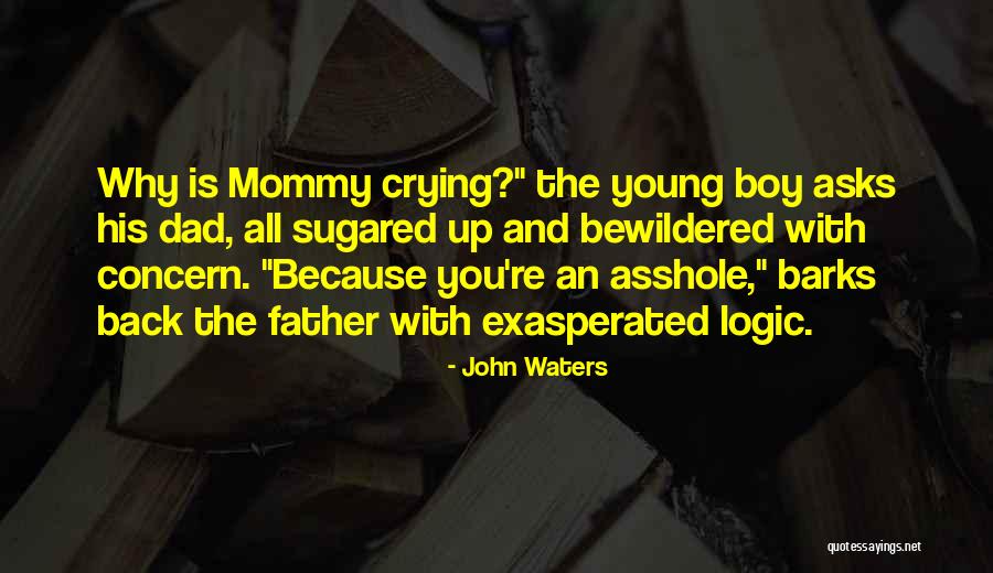 Mommy S Boy Quotes By John Waters Mommy S Boy Quotes By John Waters