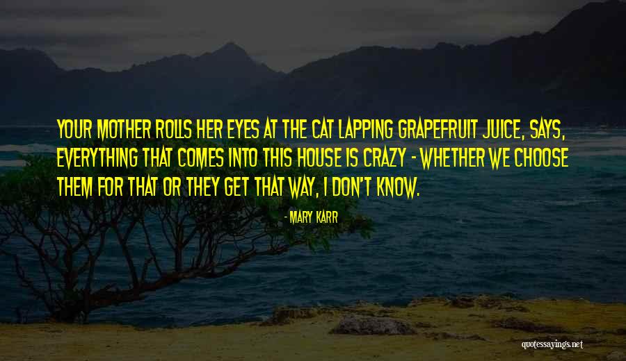 Momo Kapor Una Quotes By Mary Karr Momo Kapor Una Quotes By Mary Karr