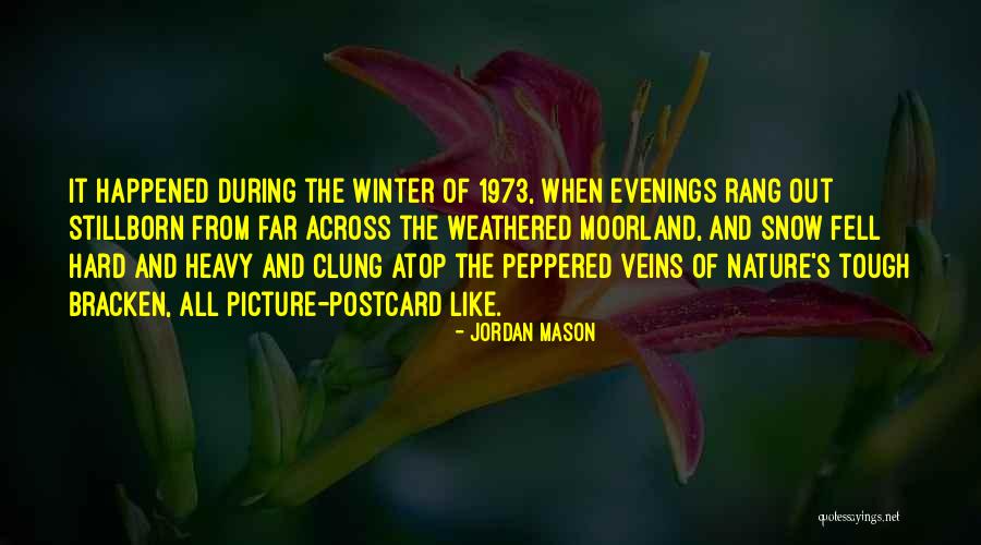 Momokawa Snow Quotes By Jordan Mason Momokawa Snow Quotes By Jordan Mason