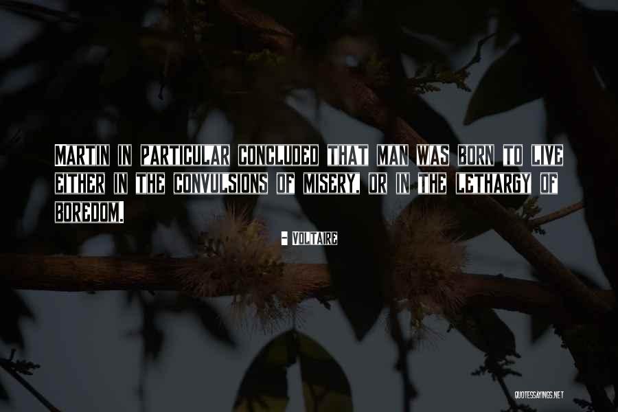 Momsense Quotes By Voltaire Momsense Quotes By Voltaire