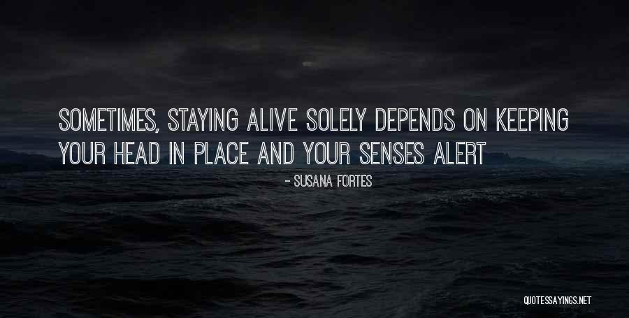 Monahan Funeral Home Quotes By Susana Fortes Monahan Funeral Home Quotes By Susana Fortes