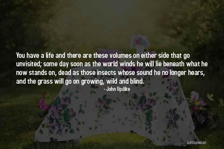 Monchique Mountains Quotes By John Updike Monchique Mountains Quotes By John Updike