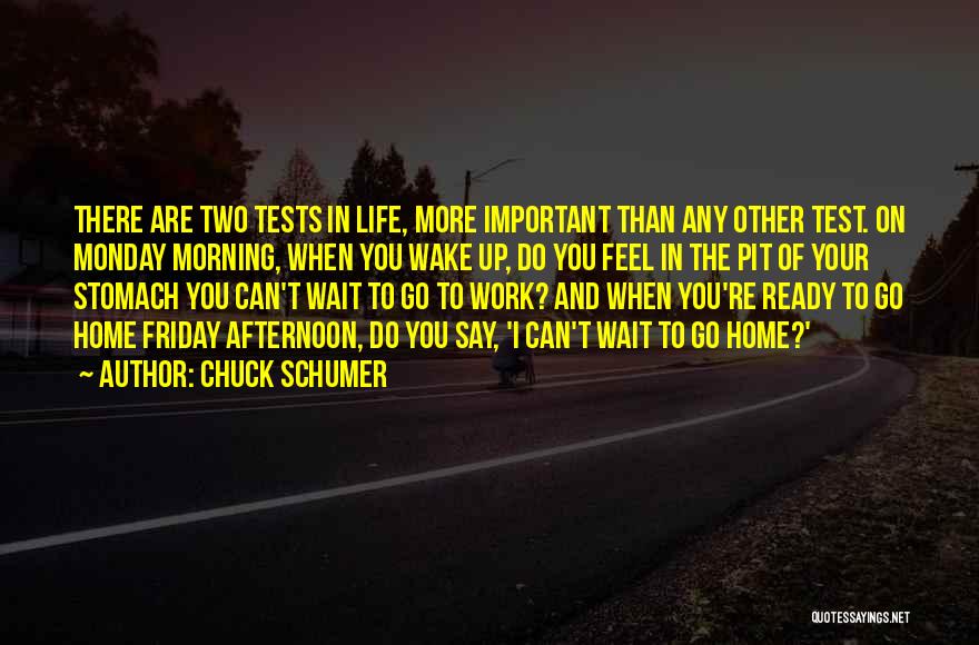 Monday And Work Quotes By Chuck Schumer
