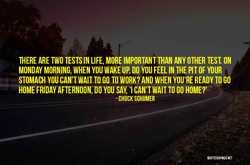 Monday Morning Work Quotes By Chuck Schumer Monday Morning Work Quotes By Chuck Schumer