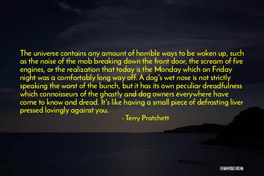 Monday Night Quotes By Terry Pratchett