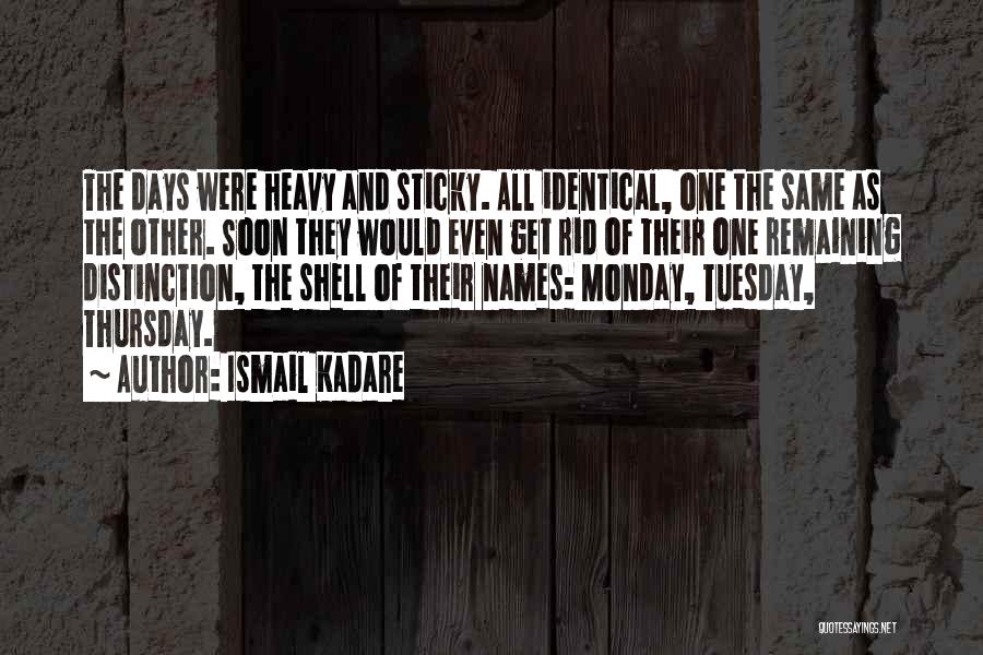 Monday Quotes By Ismail Kadare