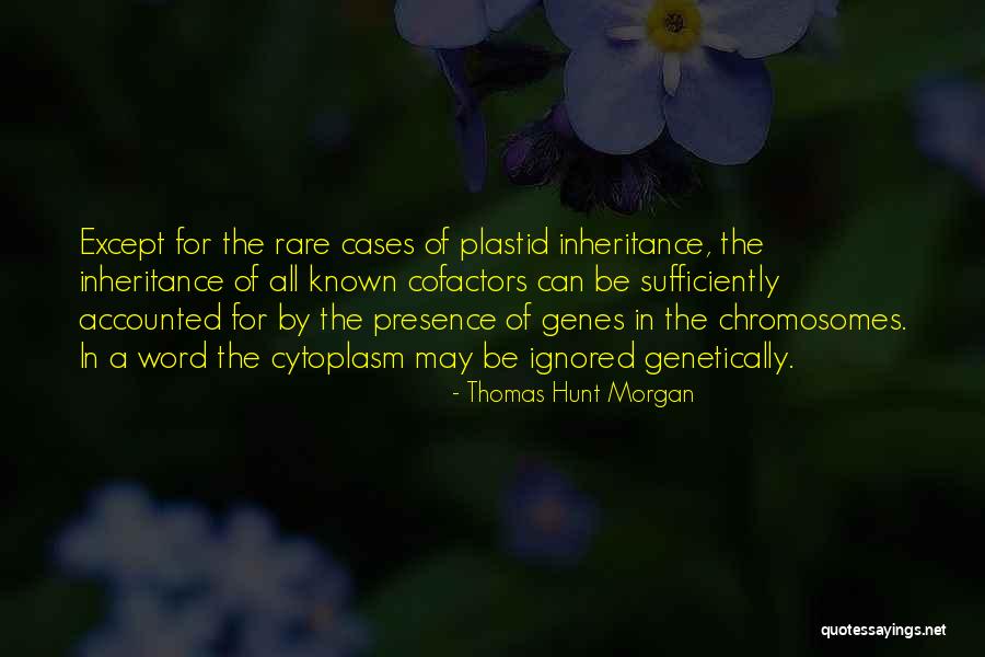 Mondiale 90 Quotes By Thomas Hunt Morgan Mondiale 90 Quotes By Thomas Hunt Morgan