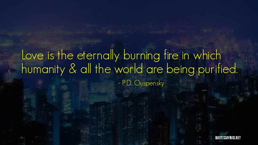 Mondongo Recipe Quotes By P.D. Ouspensky Mondongo Recipe Quotes By P.D. Ouspensky
