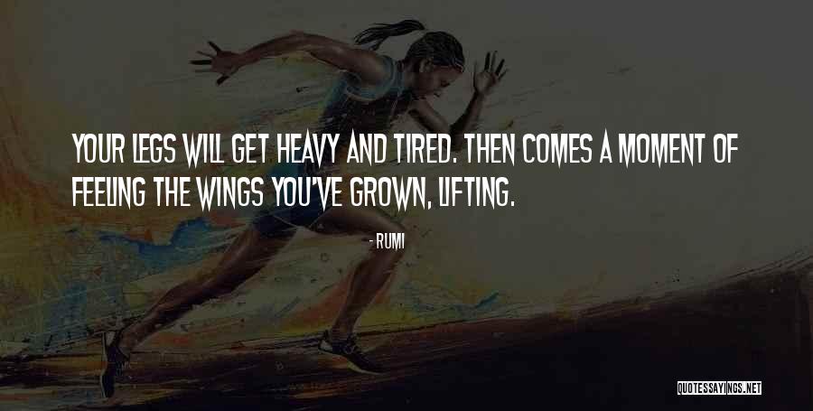 Mondry Building Quotes By Rumi Mondry Building Quotes By Rumi