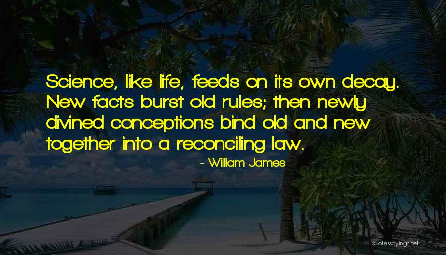 Moneen Construction Quotes By William James Moneen Construction Quotes By William James