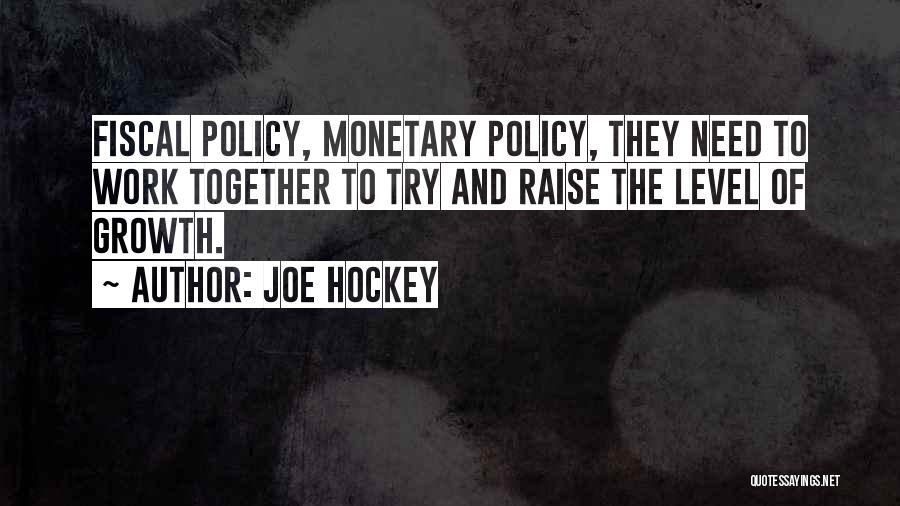 Monetary And Fiscal Policy Quotes By Joe Hockey