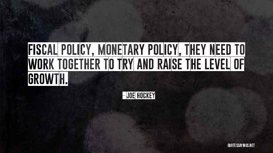 Monetary And Fiscal Policy Quotes By Joe Hockey