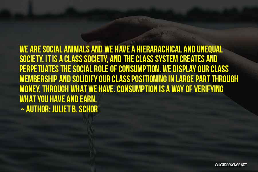 Money And Class Quotes By Juliet B. Schor