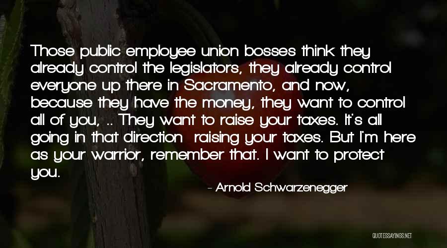 Money And Control Quotes By Arnold Schwarzenegger