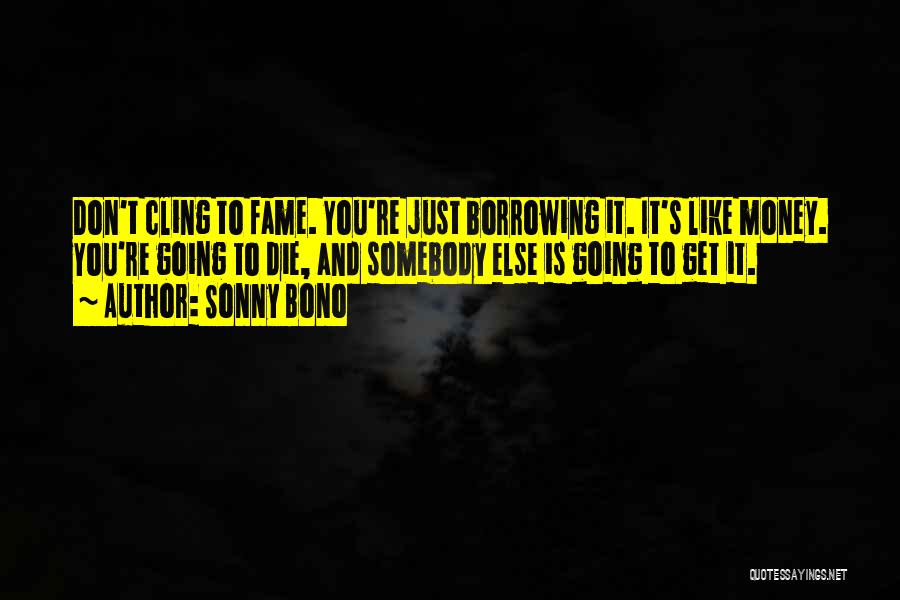 Money And Fame Quotes By Sonny Bono