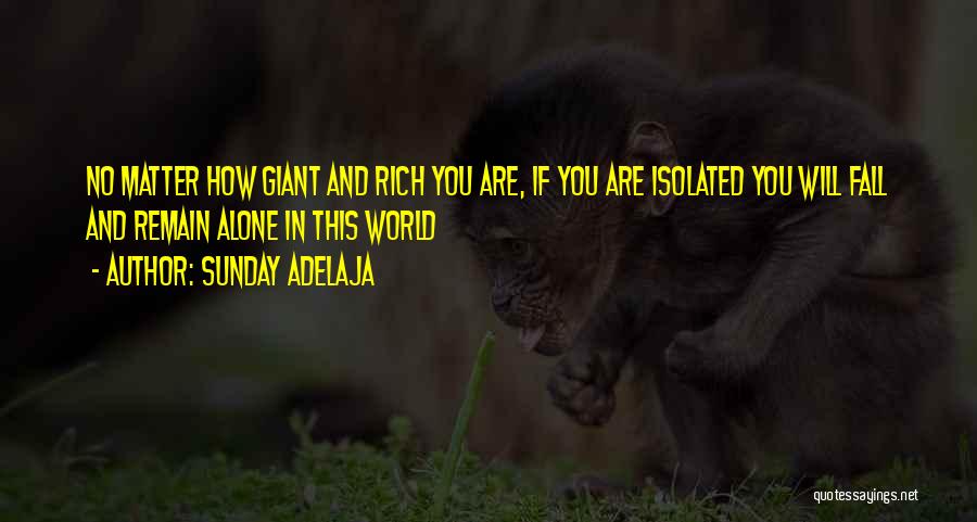 Money And Riches Quotes By Sunday Adelaja